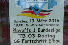 TB 03 Roding II : FTG Pfungstadt